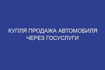 Купля продажа автомобиля через госуслуги
